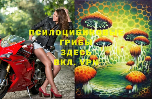 дурь Касимов