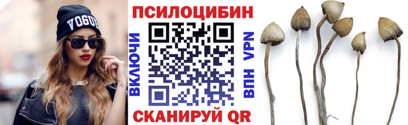 Галлюциногенные грибы Magic Shrooms Гудермес
