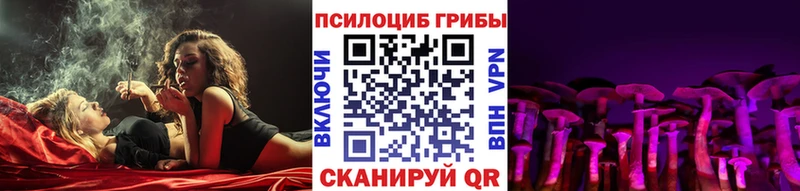 Купить закладки  Гудермес  Галлюциногенные грибы мицелий 
